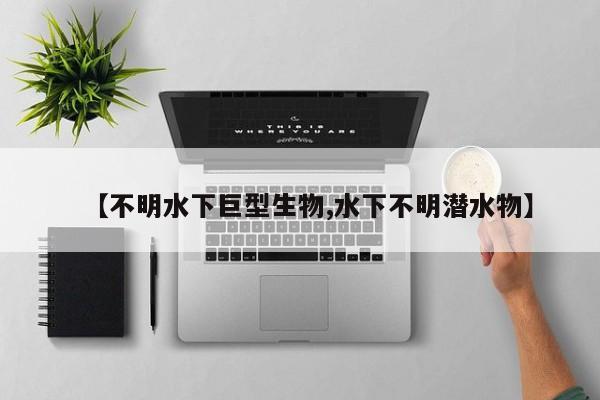 admin 第1411页