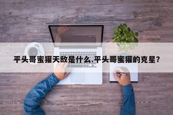 亚星代理开户 亚星网页平头哥蜜獾天敌是什么.平头哥蜜獾的克星？