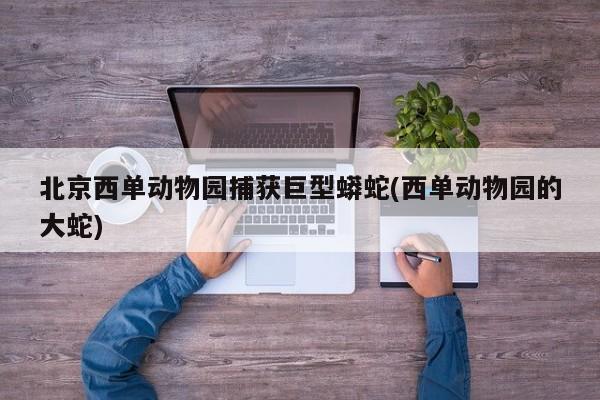 亚星官网娱乐平台 亚星入口北京西单动物园捕获巨型蟒蛇(西单动物园的大蛇)
