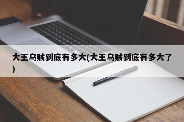 亚星官网娱乐平台 亚星入口大王乌贼到底有多大(大王乌贼到底有多大了)