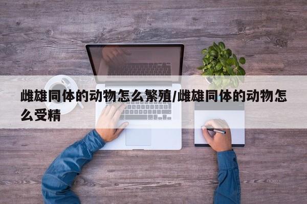 亚星代理网管理系统 亚星app下载雌雄同体的动物怎么繁殖/雌雄同体的动物怎么受精